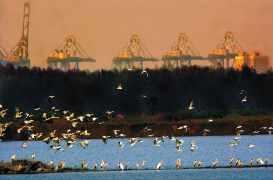 南沙跻身国家新区凭何实力?