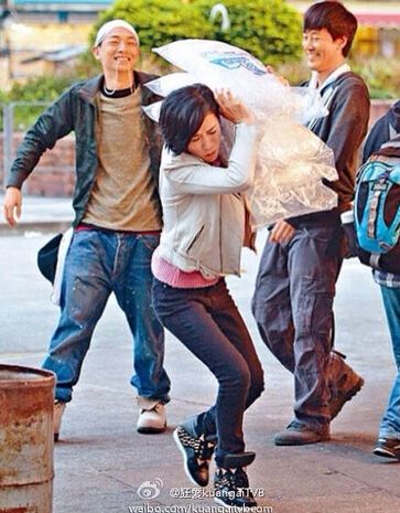 使徒行者电视剧剧情介绍至大结局:使徒行者丁