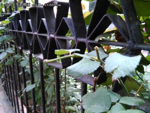 千元电信4G最强机 华为荣耀畅玩4评测