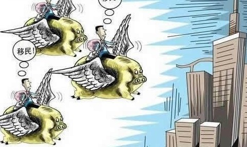 移民人口是_加拿大移民纸是什么(2)
