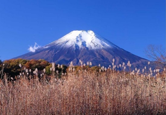 日本热议:富士山该不该收门票