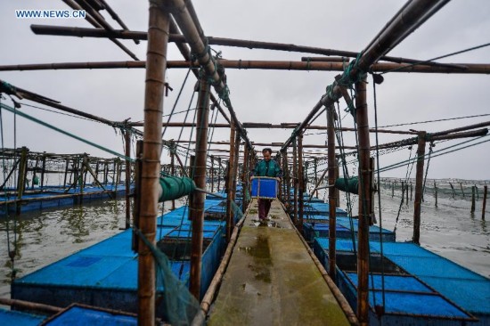 **CHINA-JIANGSU-FISHERY-YANGCHENG LAKE-CHINESE MITTEN CRAB-HARVEST (CN)