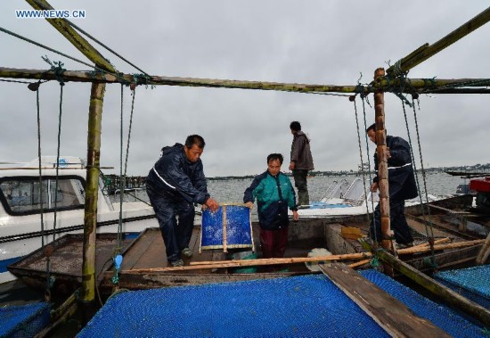 **CHINA-JIANGSU-FISHERY-YANGCHENG LAKE-CHINESE MITTEN CRAB-HARVEST (CN)