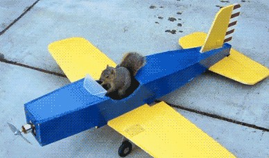 怪鱼吸烟视频遭谴责 人模人样的动物搞怪瞬间