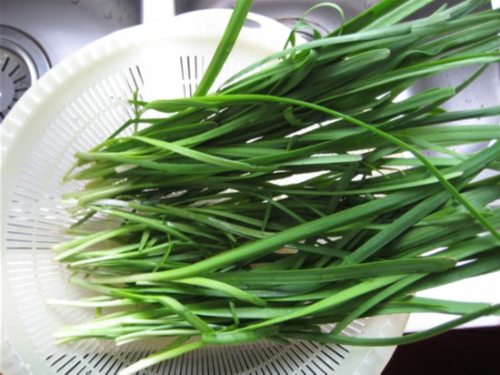 绿叶菜种类及名字图片 16579616487642775960.jpg