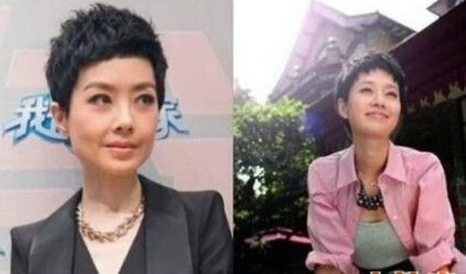 鲁豫新<em>发型短发</em>挑战女强人 鲁豫pk<em>短发</em>女星谁