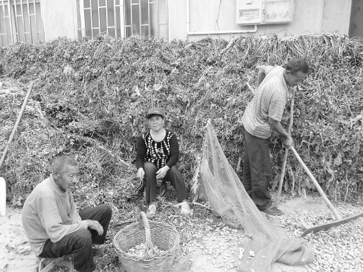 伺候瘫痪公公照顾聋哑叔公 即墨农村妇女王秀