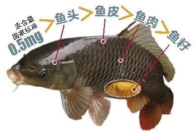 16091398441703113972.jpg
