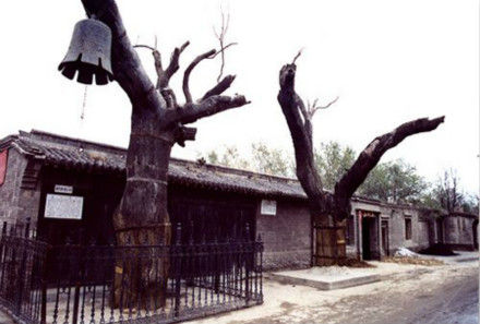 图片版权归原作者所有