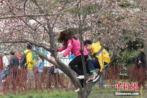 �����������ȥ�Ķ�ʮ����β�������Ϊ���ܴ���ͼ����3��