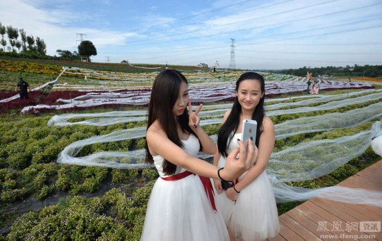 最长的大拖尾婚纱图片_1340米长婚纱