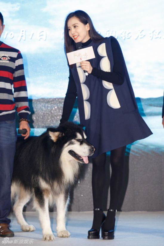 刘诗诗扮小狗状拳打胡歌 剧中狼兄助阵萌翻全