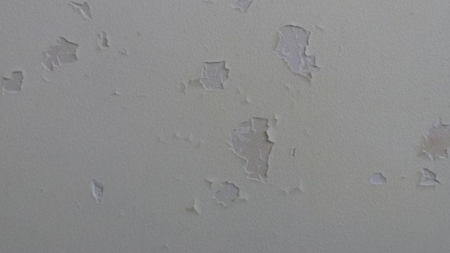 生活小妙招:如何为家里各个角落除湿