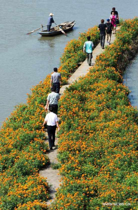 #CHINA-JIANGSU-XINGHUA-MARIGOLD (CN)