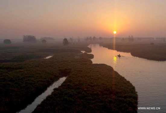 #CHINA-JIANGSU-XINGHUA-MARIGOLD (CN)