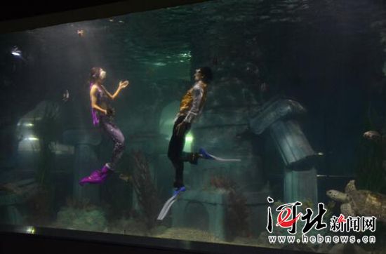 石家庄动物园引进10个新品种 海洋馆将正式营业