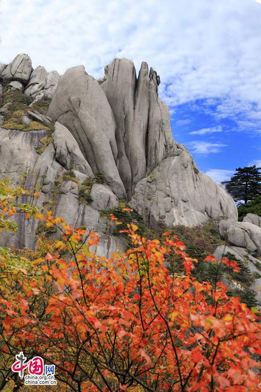 十一来黄山的绝佳理由:世界名山 秋景正宜人