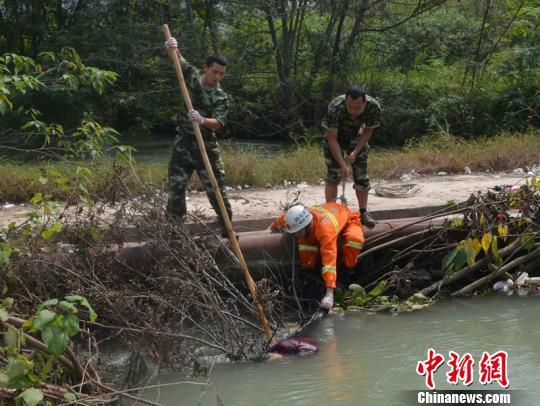 绵阳一水渠漂浮一具女尸 穿红色衣服黑色裤子