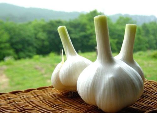 大蒜是防癌圣品 怎么吃才不会口臭