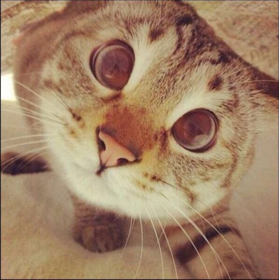 超级囧图让你笑疯掉(组图)