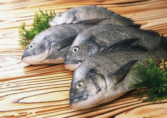 秋季吃鱼的9个守则 什么鱼最适合秋季吃