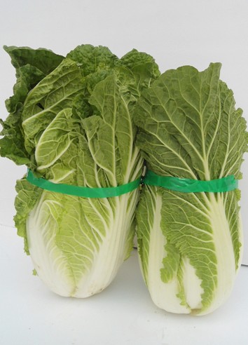 ʳʳԽԽ