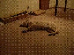 ҹҹβ
