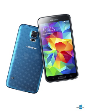 S5 Q3ӯ½50% 