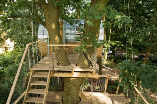 ����Baumraum��Ƶ����ݣ�Treehouse Djuren
