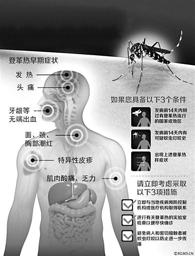23个省份报告登革热病例 全国开展大规模灭蚊