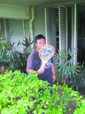 广州白云区围歼20年来最凶猛登革热