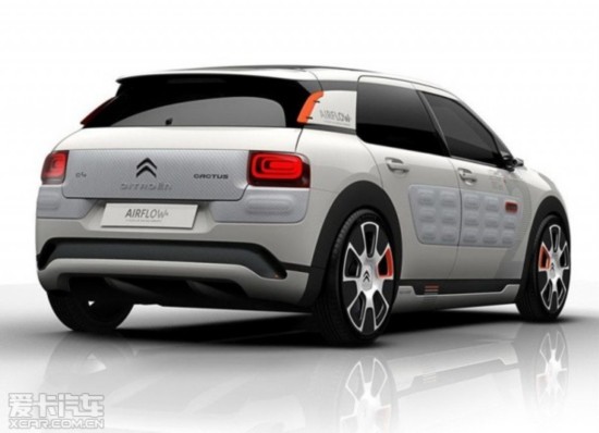 ѩ����C4 Cactus�¸��