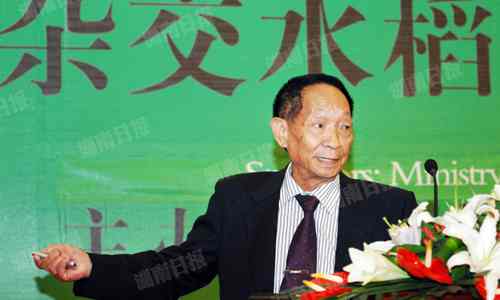 中国超级稻第四期攻关成功 亩均1026.7公斤!