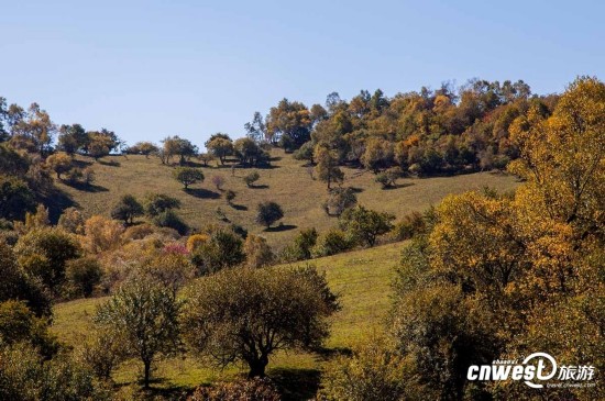 宝鸡经典游玩线路:关山牧场秋色渐浓