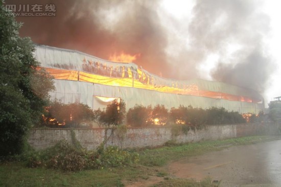 四川温江一家具厂突发大火 浓烟滚滚【组图】