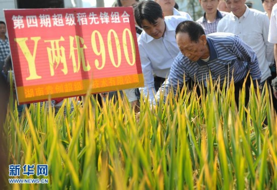 板桥镇人口数_恩施市板桥镇老照片(2)