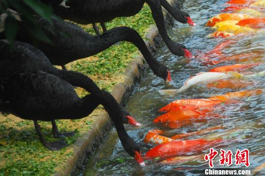 ڶ԰ιʳ㡰վ顱ܰ