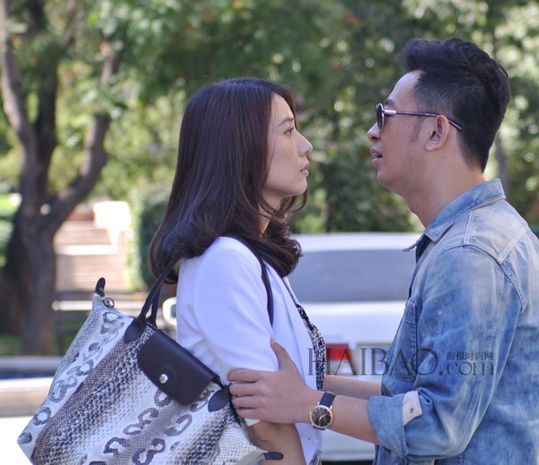 高圆圆电影版《结婚吧》男主演成谜 黄海波版或成追忆