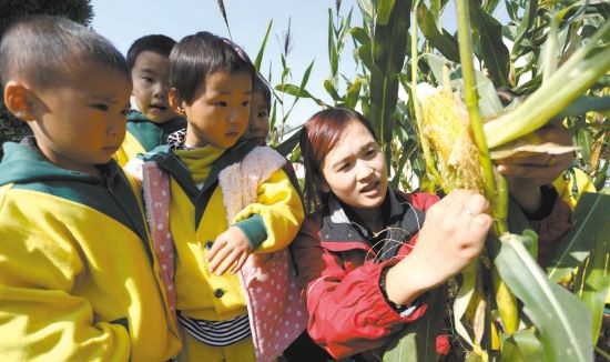 江苏东海中小学生学习认识五谷杂粮--扬子晚报网