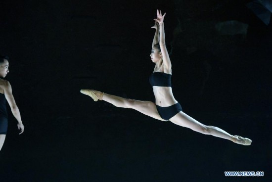 Dancers of Beijing Dance Theater preview the Wild Grass for media in New York, the United States, Oct. 15, 2014. 