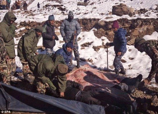 尼泊尔喜马拉雅山麓发生雪崩 21人死数十人失踪