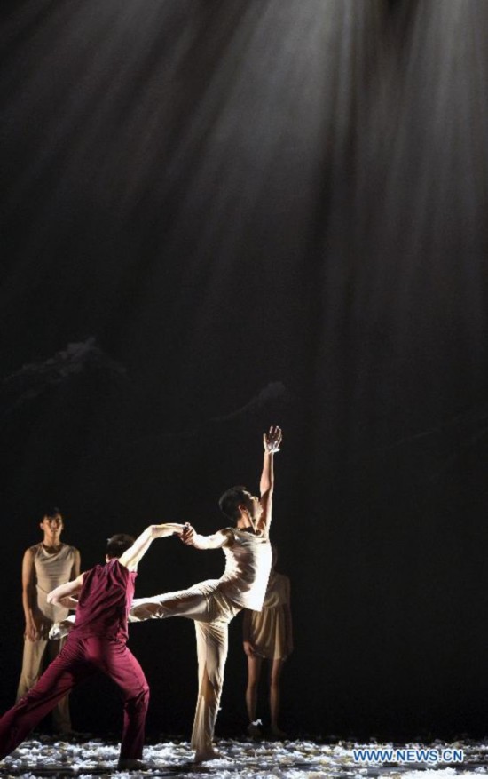 Dancers of Beijing Dance Theater preview the Wild Grass for media in New York, the United States, Oct. 15, 2014. 