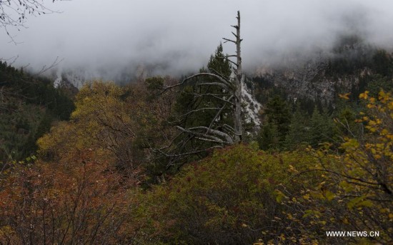 CHINA-SICHUAN-JIUZHAIGOU-SCENERY (CN)