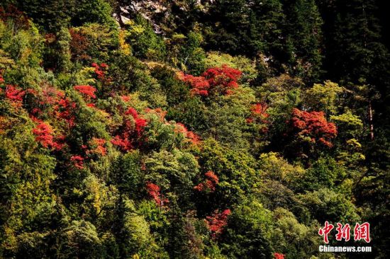 Picturesque scenery in Sichuan