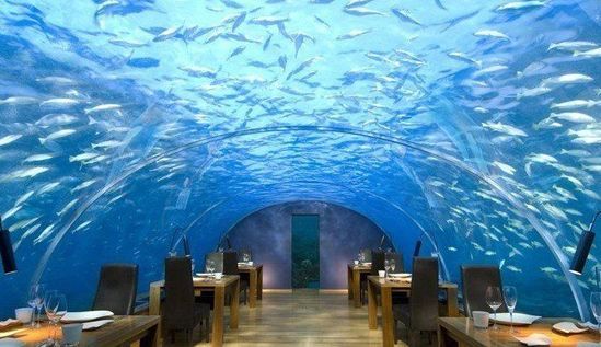 �������򣬺��ײ���(Ithaa Undersea Restaurant)