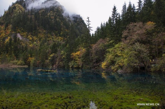 CHINA-SICHUAN-JIUZHAIGOU-SCENERY (CN)