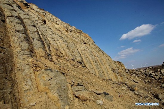 Photo taken on Oct. 19, 2014 shows the basalt columns in Zhangbei County, north China's Hebei province. A large amount of basalt columns was discovered here recently, which is considered to be formed in miocene times. (Xinhua/Yang Shiyao)