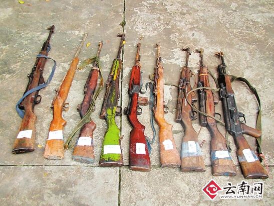 凶徒保护区射杀亚洲象 西双版纳森警悬赏4万缉凶