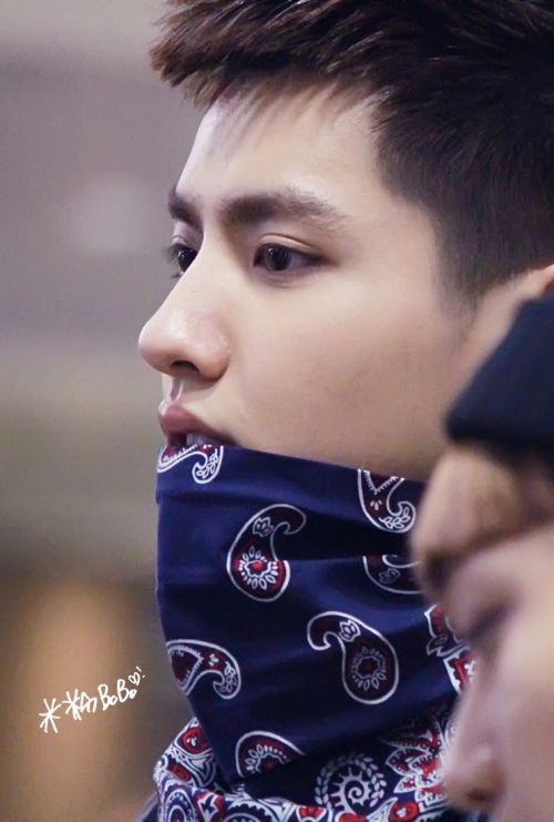 边伯贤朴灿烈现最萌身高差 EXO合影揭真实身