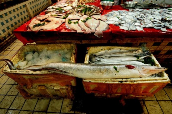 青岛渔民捕获近两米长巨型海鳗鱼